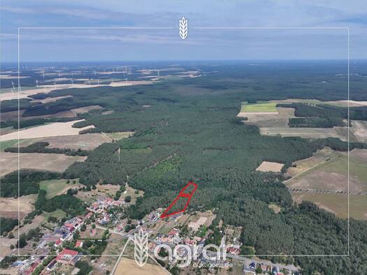 Land-/Forstwirtschaft zum Kauf 9.000 € 11.441 m² Grundstück Hohenwerbig Niemegk 14823