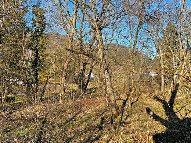 Grundstück zum Kauf 45.000 € 997 m² Grundstück Lehenrotte 3183