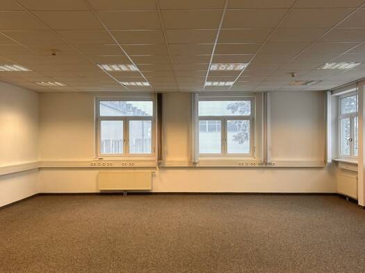 Büro zur Miete 8.361 € 20 Zimmer Wiener Neustadt 2700