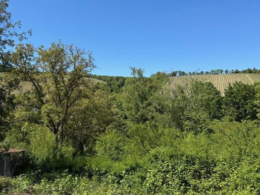 Grundstück zum Kauf 50.000 € 2.194 m² Grundstück Unterdürrbacher Straße 164 Unterdürrbach Würzburg 97080