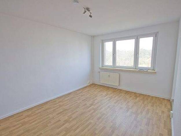 Wohnung zur Miete 391 € 2 Zimmer 41,1 m² 3. Geschoss Neukirchener Weg 7 Gesundbrunnen Halle (Saale) 06128