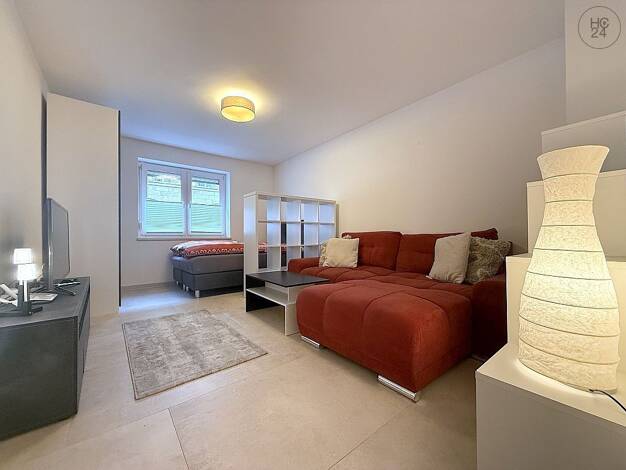 Wohnung zur Miete auf Zeit 795 € 1 Zimmer 38 m² frei ab sofort Maxfeld Nürnberg 90409