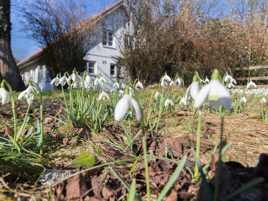 Mehrfamilienhaus zum Kauf 289.000 € 7 Zimmer 187,4 m² 1.650 m² Grundstück Winnemark 24398