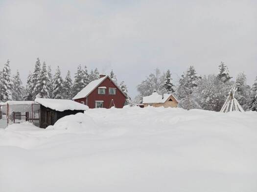 Einfamilienhaus zum Kauf 75.000 € 4 Zimmer 75 m² 17.000 m² Grundstück Malå kommun 93994
