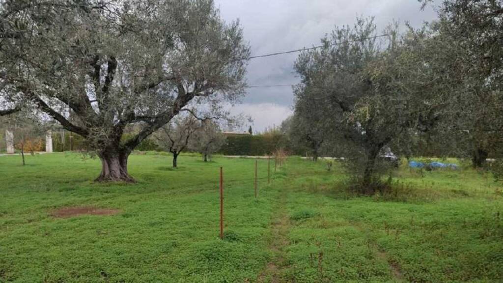 Land-/Forstwirtschaft zum Kauf 150.000 € 1.200 m² Grundstück Peloponnes