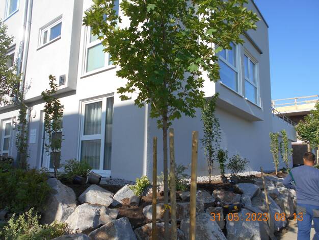 Doppelhaushälfte zum Kauf provisionsfrei 633.505 € 5 Zimmer 137 m² 287 m² Grundstück Althengstett Althengstett 75382