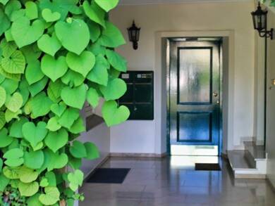 Wohnung zur Miete 680 € 2 Zimmer 80 m² Arnsberg 59821