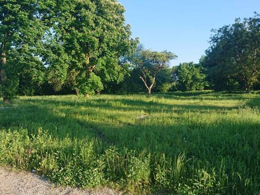 Grundstück zur Miete provisionsfrei 3.000 € 5.992 m² Grundstück Gewerbestraße 18 Eisenfelden Winhöring 84543