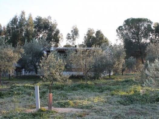 Bauernhaus zum Kauf provisionsfrei 145.000 € 5 Zimmer 170 m² 10.000 m² Grundstück Rociana del Condado 21720