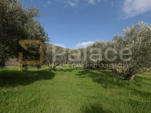 Acker-/Waldstück zum Kauf 25.000 € Pirovac 22213
