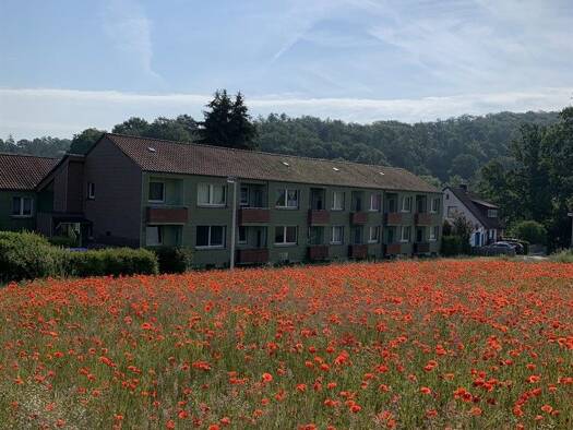 Wohnung zur Miete 337 € 2 Zimmer 44,9 m² EG frei ab sofort Theodor-Storm-Straße 5 Holzminden Holzminden 37603