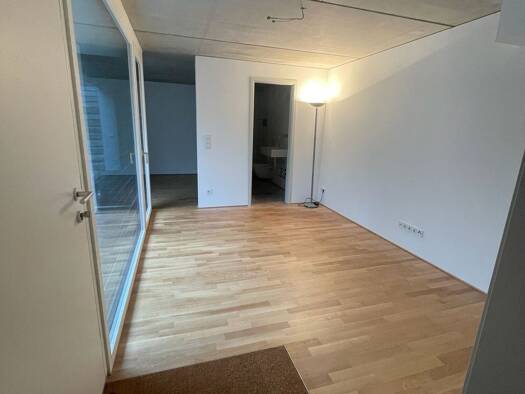 Terrassenwohnung zur Miete 680 € 2 Zimmer 45 m² frei ab 01.03.2026 Klein-Winternheim 55270