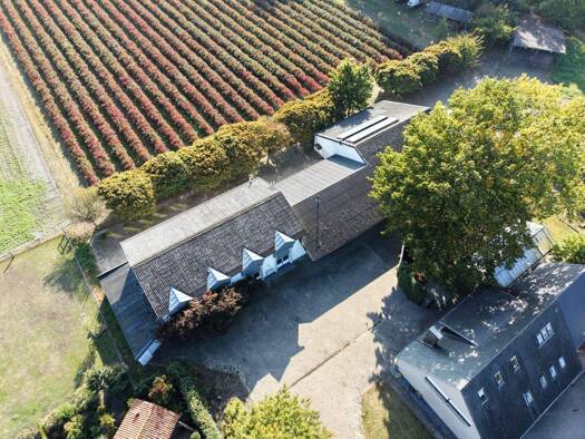 Haus zum Kauf 374.000 € 10 Zimmer 939,4 m² 8.234 m² Grundstück Ströhen Wagenfeld 49419