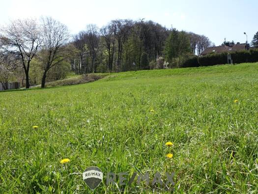 Grundstück zum Kauf 175.000 € 1.125 m² Grundstück Ried am Riederberg 3004