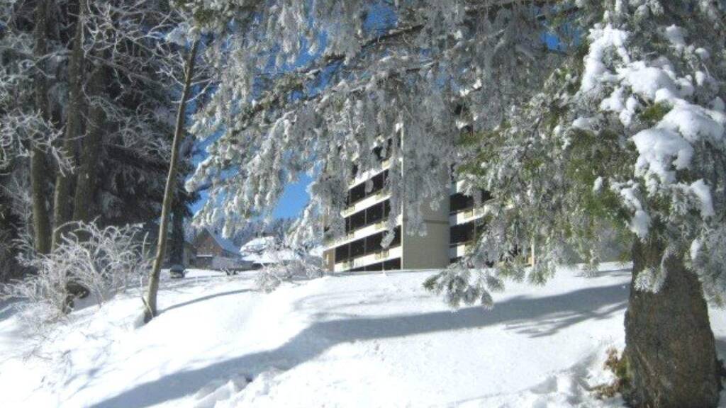 Studio zum Kauf 69.000 € 1 Zimmer 37,4 m² 3. Geschoss Schönwald 78141