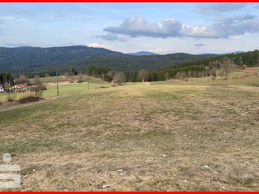 Land-/Forstwirtschaft zum Kauf 76.300 € 7.630 m² Grundstück Langdorf 94264