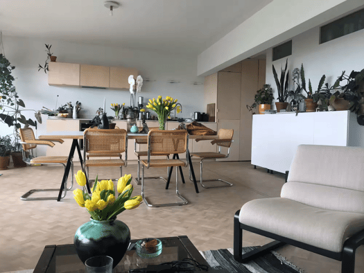 Wohnung zur Miete 423 € 1,5 Zimmer 37 m² Geschoss 2/3 frei ab 20.08.2026 Freudenstadt Freudenstadt 72250