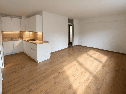 Wohnung zur Miete 860 € 2 Zimmer 47 m² Geschoss EG/3 frei ab 01.11.2026 Seestraße West 60 Immenstaad Immenstaad am Bodensee 88090