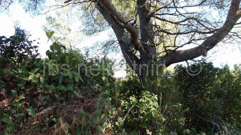 Land-/Forstwirtschaft zum Kauf 549.315 € Janjina