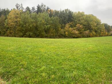 Landwirtschaftliche Fläche zum Kauf provisionsfrei 8.000 m² Schwarzenbruck Schwarzenbruck 90592
