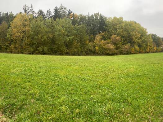 Landwirtschaftliche Fläche zum Kauf provisionsfrei 8.000 m² Schwarzenbruck 90592