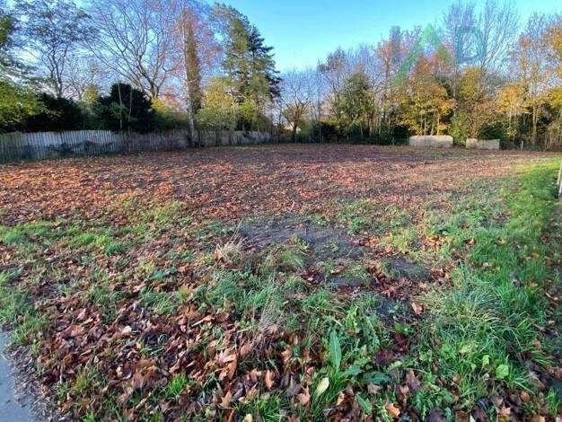 Grundstück zum Kauf provisionsfrei 149.000 € 1.347 m² Grundstück Süderbrarup 24392