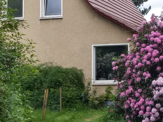 Terrassenwohnung zur Miete 400 € 2 Zimmer 60 m² Geschoss EG/1 frei ab sofort Schmalkalden 98574