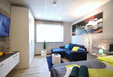 Studio zur Miete Wohnen auf Zeit 895 € 1 Zimmer 26 m² Georg-Mayr-Straße 8 Marktheidenfeld Marktheidenfeld 97828