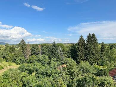 Wohnung zur Miete 799 € 2 Zimmer 78 m² 3. Geschoss Barthstr. 1 Lauf rechts Lauf an der Pegnitz 91207
