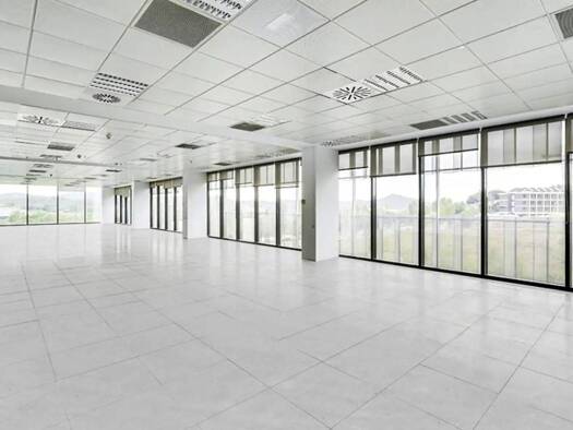 Ladenfläche zur Miete 6.950 € 556 m² Verkaufsfläche Avinguda De La Via Augusta Sant Cugat del Vallès 08174