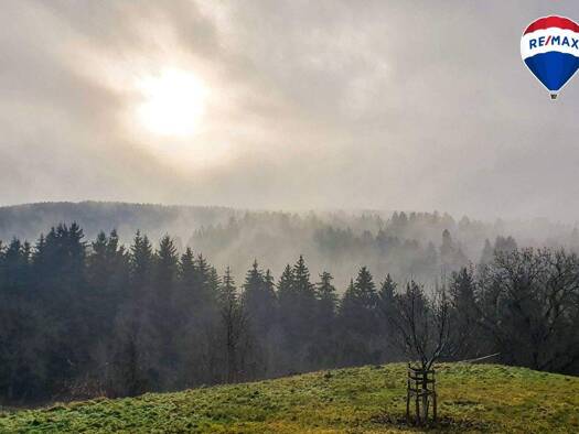 Mehrfamilienhaus zum Kauf 890.000 € 10 Zimmer 225 m² 44.871 m² Grundstück Brunnadern Bonndorf 79848