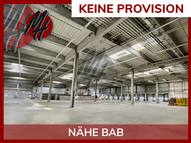 Lagerhalle zur Miete provisionsfrei 5.000 m² Lagerfläche teilbar ab 2.300 m² Sossenheim West 65936