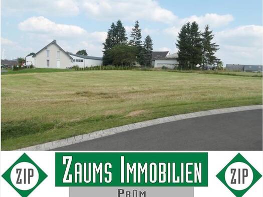 Grundstück zum Kauf 39.130 € 910 m² Grundstück Schlausenbach Auw bei Prüm 54597