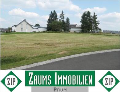 Grundstück zum Kauf 39.130 € 910 m² Grundstück Schlausenbach Auw bei Prüm 54597
