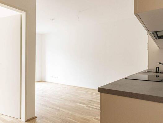 Wohnung zur Miete 717 € 2 Zimmer 50,9 m² 1. Geschoss Jadengasse 17 Wien 1150