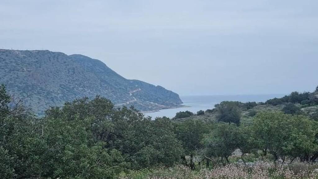 Grundstück zum Kauf 330.000 € 8.579 m² Grundstück Kreta Plaka bei Elounda 720 53