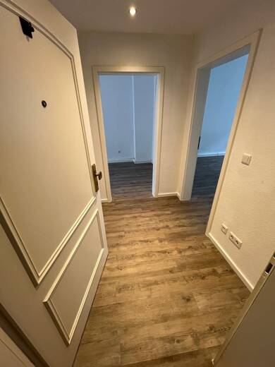 Wohnung zur Miete 575 € 2 Zimmer 52 m² EG frei ab sofort Breitenfelder Straße 89 Gohlis-Mitte Leipzig 04157