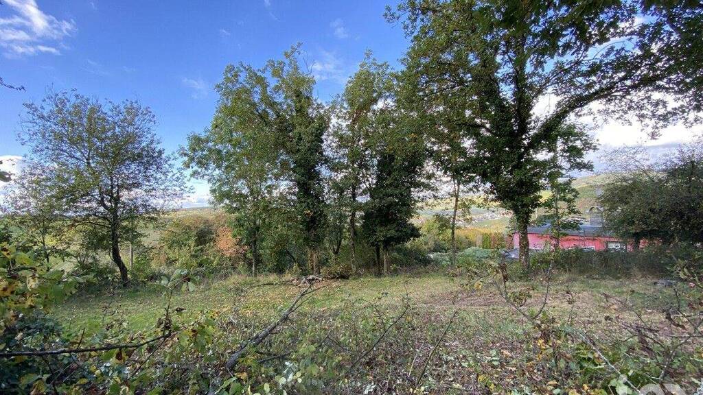 Freizeitgrundstück zum Kauf 79.000 € 1.567 m² Grundstück Auf dem Schanzgraben Oberemmel Konz / Oberemmel 54329