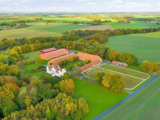 Haus zum Kauf 5.220.000 € 25 Zimmer 920 m² 1.120.000 m² Grundstück Kjellerup 8620