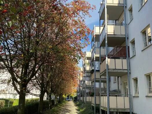 Wohnung zur Miete 220 € 2 Zimmer 38,7 m² 2. Geschoss frei ab sofort Zschopauer Str. 249d we 19 Lutherviertel Chemnitz 09126