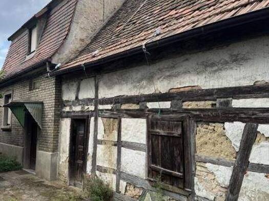 Sonstiges zum Kauf 250.000 € 350 m² Grundstück Römerstrasse 00 Lampertheim 68623