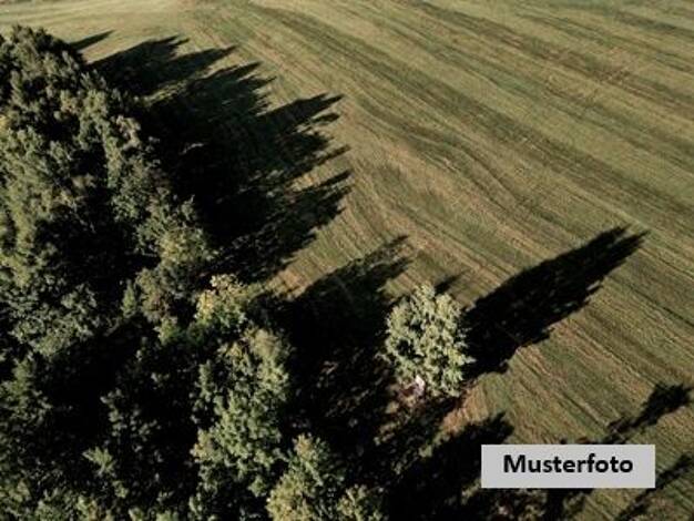 Land-/Forstwirtschaft zum Kauf 164.700 € 97.728 m² Grundstück Döbra Schwarzenbach a.Wald 95131