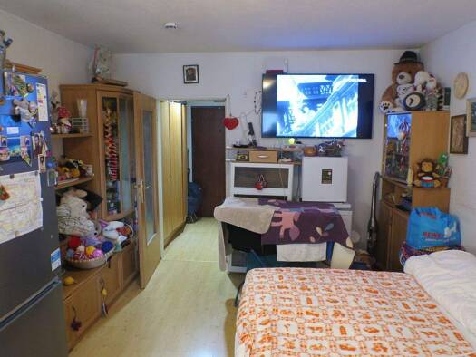 Studio zum Kauf 249.000 € 1 Zimmer 33 m² Geschoss 1/6 Ludwigsvorstadt-Isarvorstadt München 80336