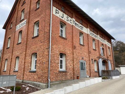 Wohnung zur Miete 890 € 2 Zimmer 75 m² 3 Geschosse frei ab sofort Weinbergweg 35 Quedlinburg 06484