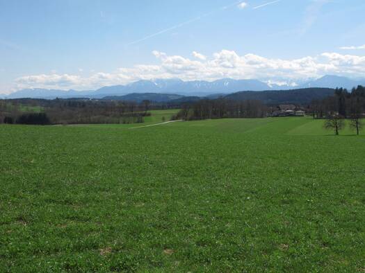 Grundstück zum Kauf 980 m² Grundstück frei ab sofort Feldkirchen in Kärnten 9560