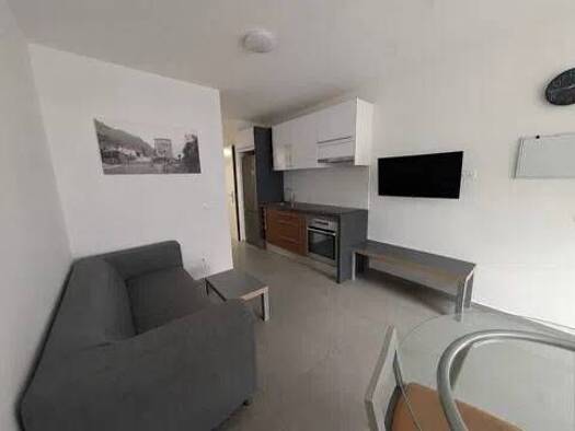 Wohnung zur Miete 1.550 € 1 Zimmer 50 m² Calle Licinio De La Fuente Mogán 35120