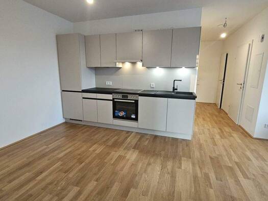 Wohnung zur Miete 890 € 3 Zimmer 65 m² 1. Geschoss frei ab 01.05.2026 Andersengasse 17 Liebenau Graz 8041