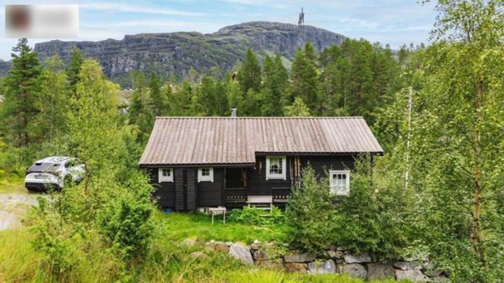Einfamilienhaus zum Kauf 292.000 € 3 Zimmer 70 m² 769 m² Grundstück Seljestad / Langedalstølen 5763