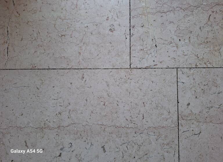 Haus zum Kauf provisionsfrei 870.000 € 7 Zimmer 161,2 m²<br/>Wohnfläche 314 m²<br/>Grundstück Wienburg Münster 48147