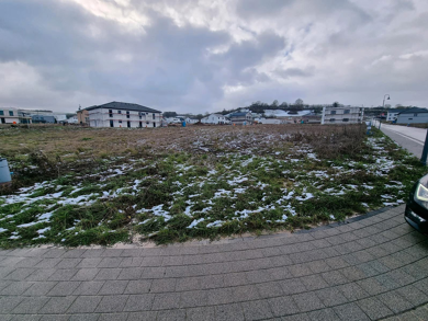 Grundstück zum Kauf 125.000 € 560 m² Grundstück Welschbillig Welschbillig 54298